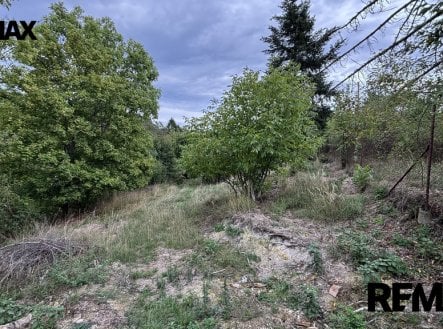 Prodej pozemku pro bydlení, 1 335 m²