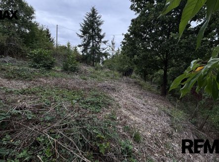 Prodej pozemku pro bydlení, 1 335 m²