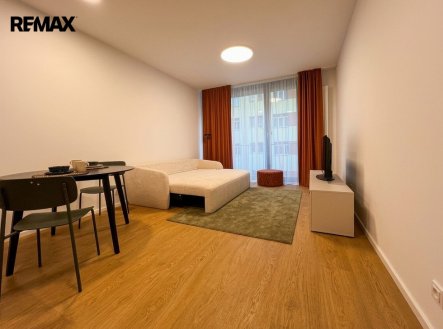 Pronájem bytu, 1+kk, 30 m²