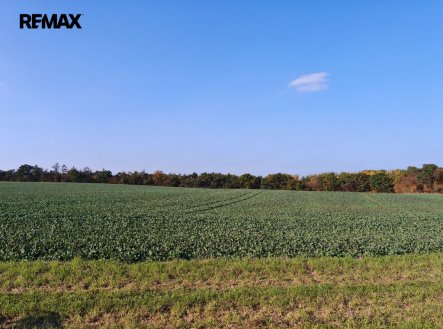 Prodej pozemku, zemědělská půda, 10 226 m²