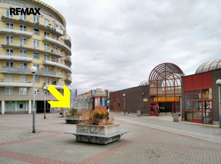 Pronájem