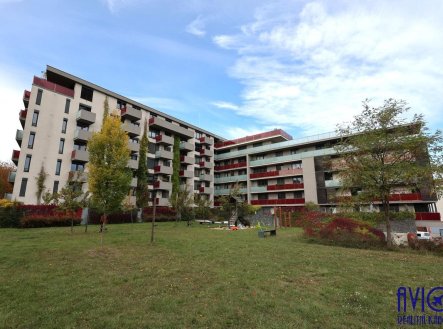 Pronájem bytu, 2+kk, 50 m²