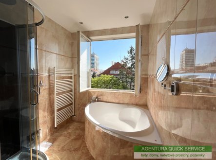 Pronájem bytu, 5+kk, 150 m²