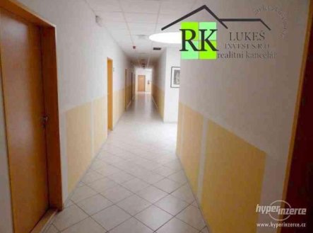 Pronájem bytu, 3+kk, 87 m²