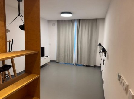 Pronájem bytu, 1+kk, 28 m²