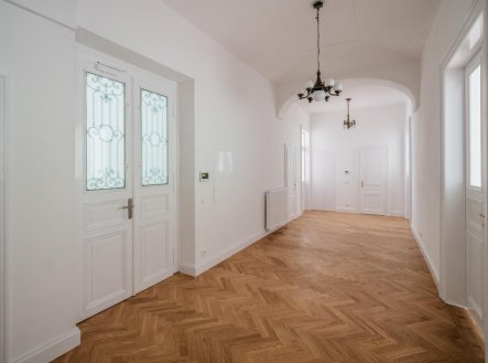 Pronájem kanceláře, 255 m²