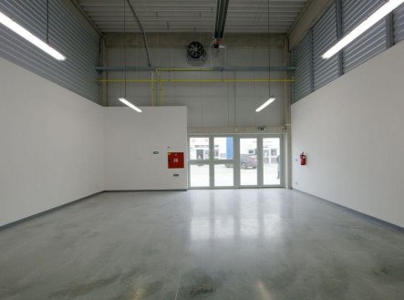 Pronájem obchodní prostory, 330 m²