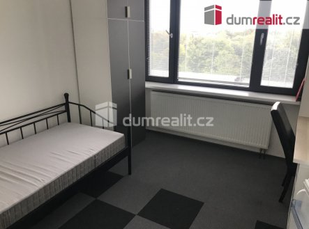 Pronájem bytu, 1+kk, 15 m²