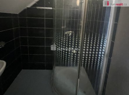 Pronájem bytu, jiný, 17 m²