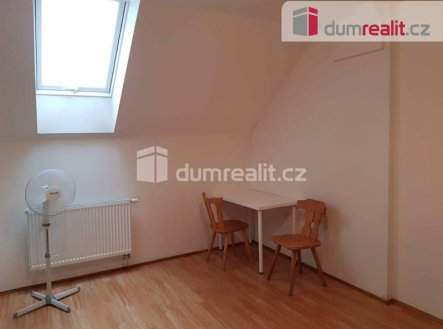 Pronájem bytu, jiný, 20 m²