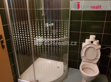 Pronájem bytu, jiný, 20 m²