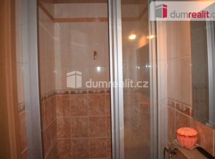 Pronájem bytu, 1+kk, 20 m²