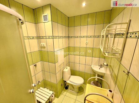 Pronájem bytu, 1+kk, 21 m²