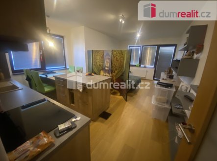 Pronájem bytu, 1+kk, 43 m²