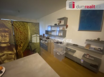 Pronájem bytu, 1+kk, 43 m²