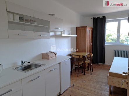 Pronájem bytu, 1+kk, 15 m² obrázek