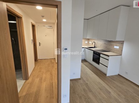 Pronájem bytu, 2+kk, 52 m²