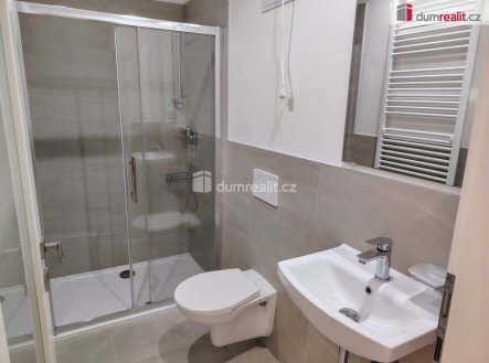 Pronájem bytu, 1+kk, 31 m²