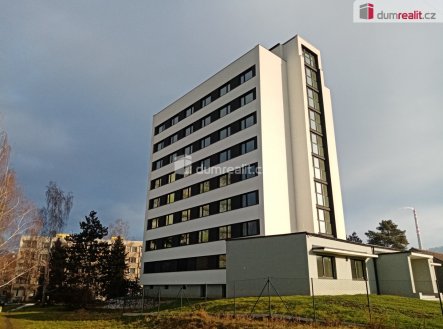 Pronájem bytu, 1+kk, 21 m²