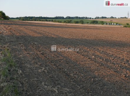 Prodej pozemku, zemědělská půda, 4 864 m²