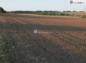 Prodej pozemku, zemědělská půda, 4 864 m²