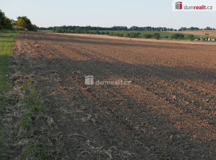 Prodej pozemku, zemědělská půda, 4 864 m²