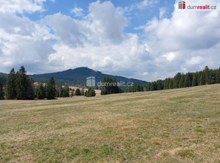 Prodej pozemku, trvalý travní porost, 1 321 m²