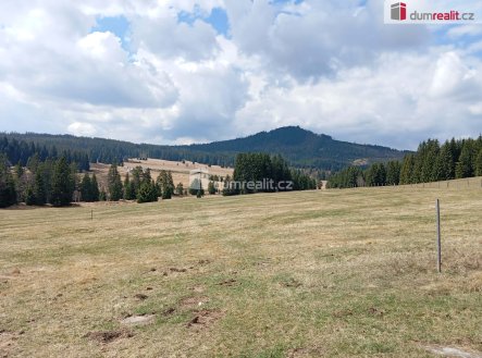 Prodej pozemku, trvalý travní porost, 1 321 m²