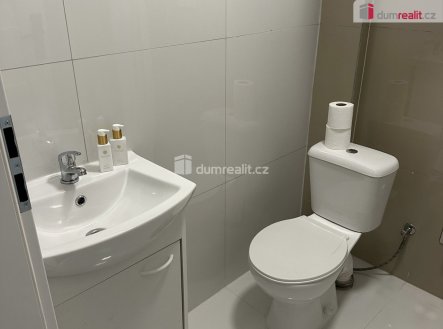 Pronájem bytu, jiný, 14 m²