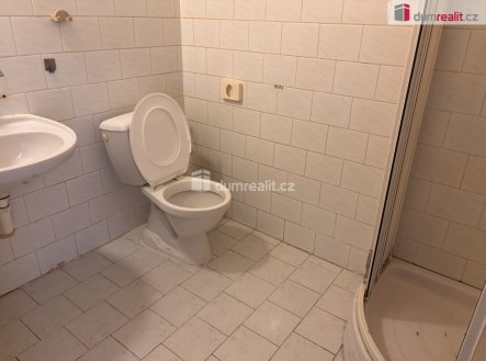 Pronájem bytu, 1+kk, 20 m²