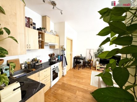 Pronájem bytu, 2+kk, 45 m²