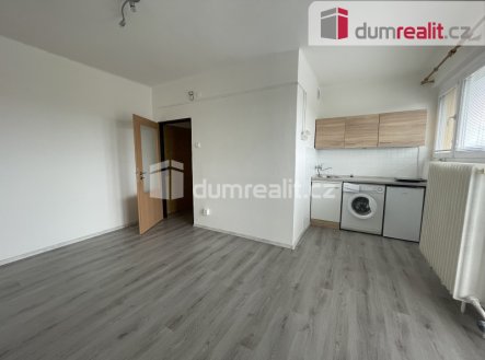 Pronájem bytu, 1+kk, 23 m²