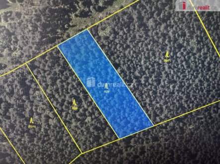 1 | Prodej - pozemek, les, 2 877 m²