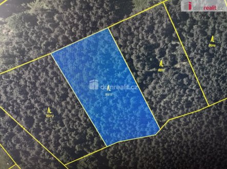 1 | Prodej - pozemek, les, 4 316 m²