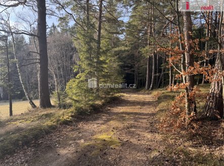 4 | Prodej - pozemek, les, 4 316 m²