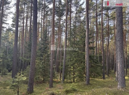 2 | Prodej - pozemek, les, 4 147 m²