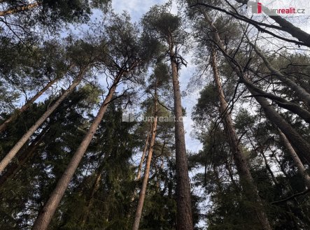 3 | Prodej - pozemek, les, 4 147 m²