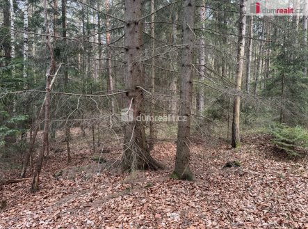 4 | Prodej - pozemek, les, 4 147 m²