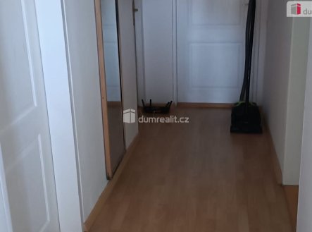 Pronájem bytu, jiný, 12 m²