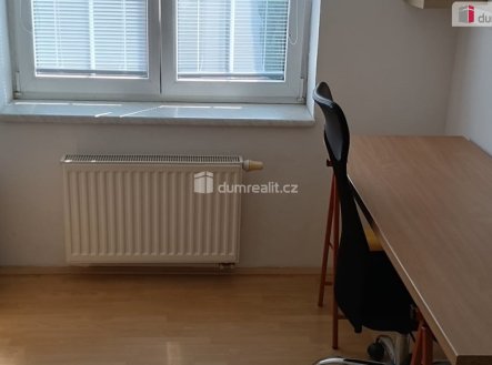 Pronájem bytu, jiný, 12 m²