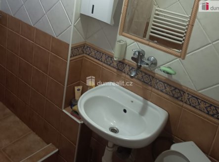 Pronájem bytu, jiný, 17 m²