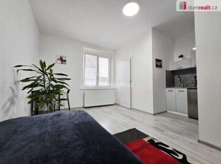 Pronájem bytu, 1+kk, 20 m²