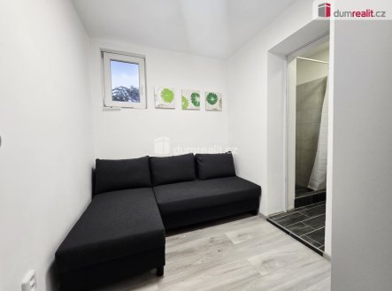 Pronájem bytu, 1+kk, 20 m²