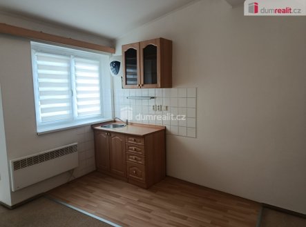 Pronájem bytu, 1+kk, 20 m²