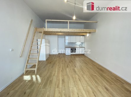 Pronájem bytu, 1+kk, 42 m²