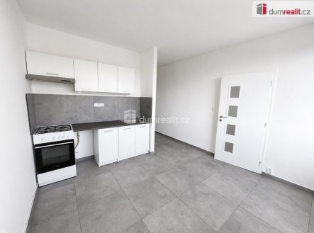Pronájem bytu, 1+1, 36 m²