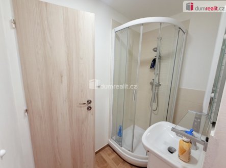 Pronájem bytu, 1+kk, 20 m²