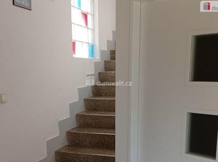 Pronájem bytu, 3+kk, 15 m²