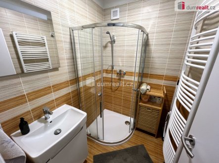 Pronájem bytu, 1+1, 46 m²