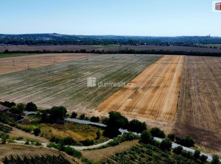 Prodej domu/vily, 300 m²